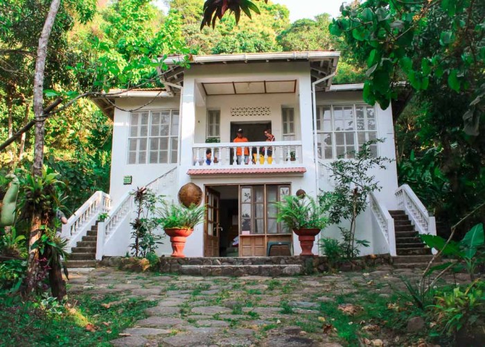 Eco-friendly hotels
